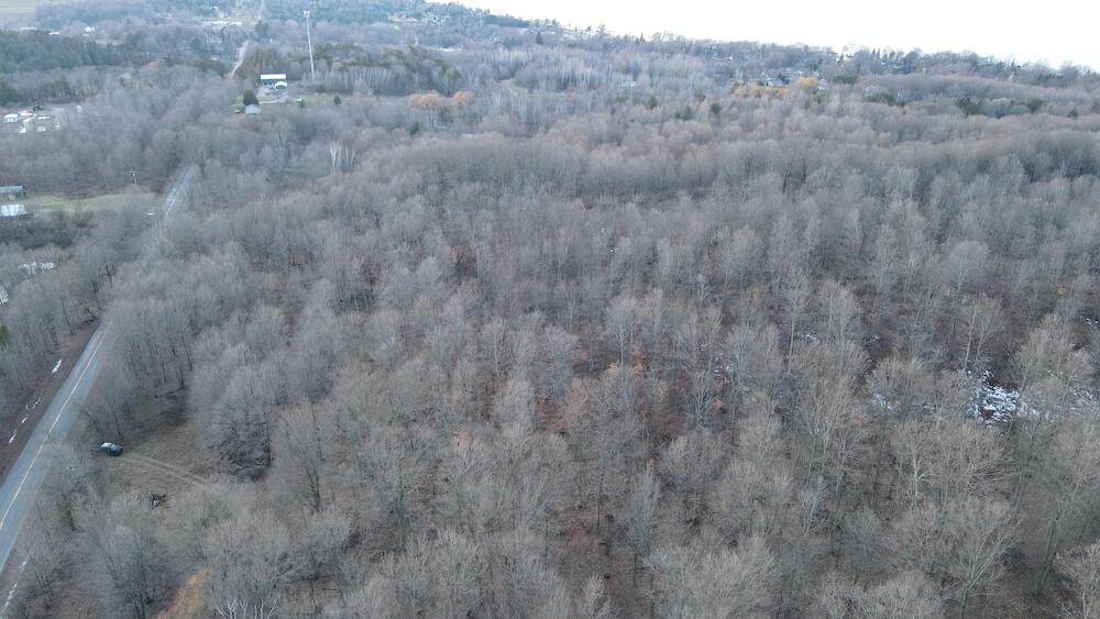 Potter Road Bear Lake, MI 49614 - Photo 16 of 37 DJI_0791