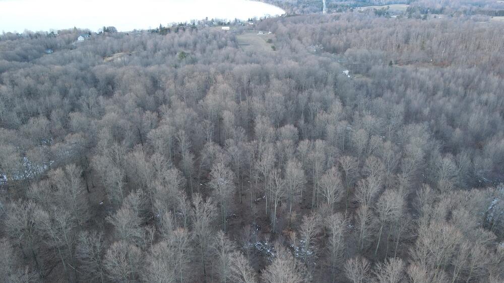 Potter Road Bear Lake, MI 49614 - Photo 17 of 37 DJI_0792