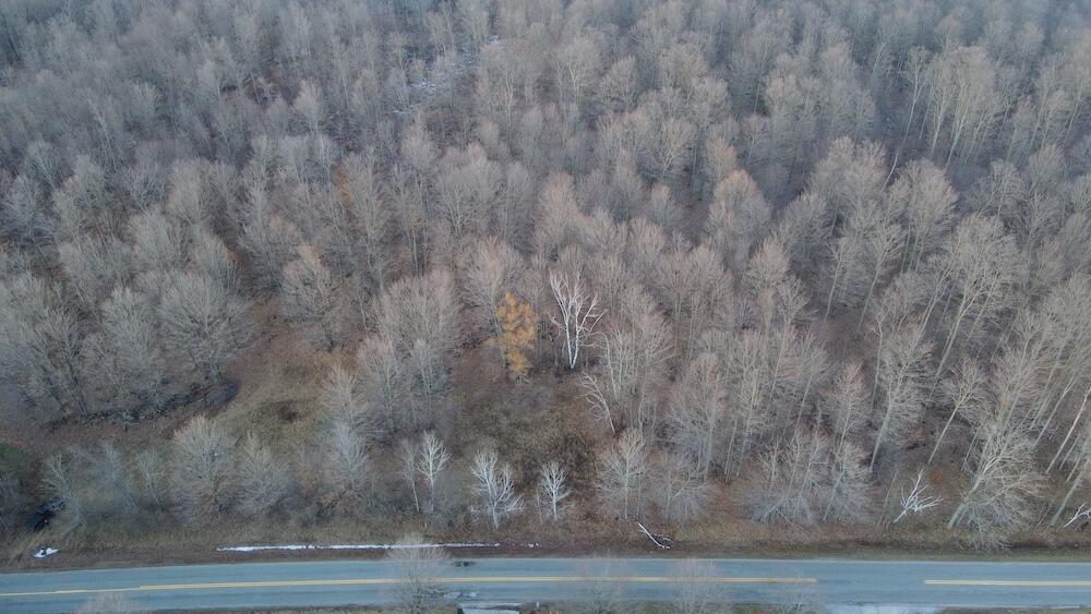 Potter Road Bear Lake, MI 49614 - Photo 2 of 37 DJI_0787