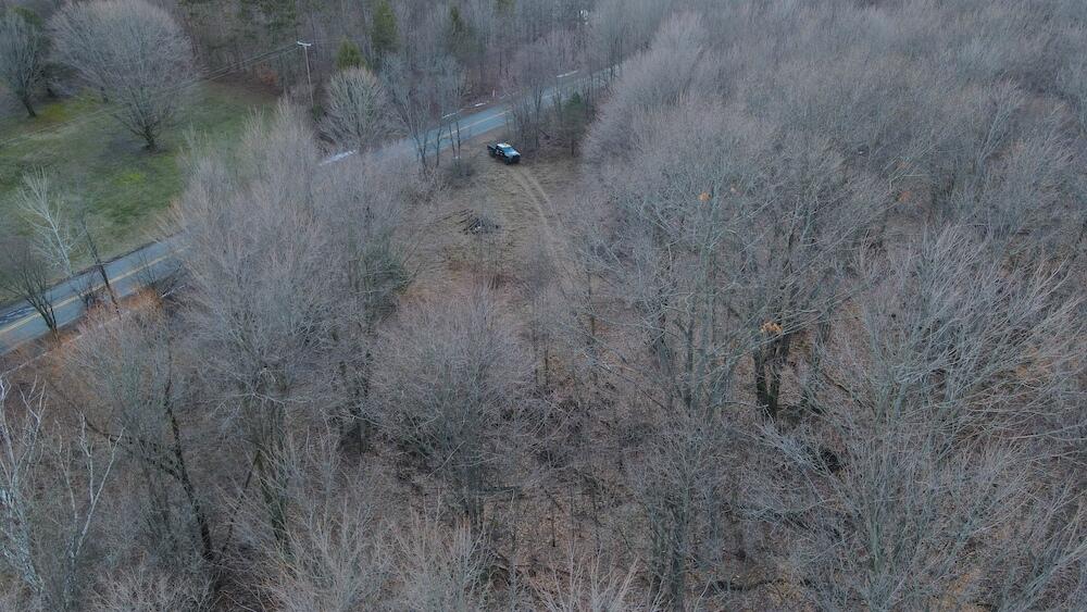 Potter Road Bear Lake, MI 49614 - Photo 3 of 37 DJI_0793
