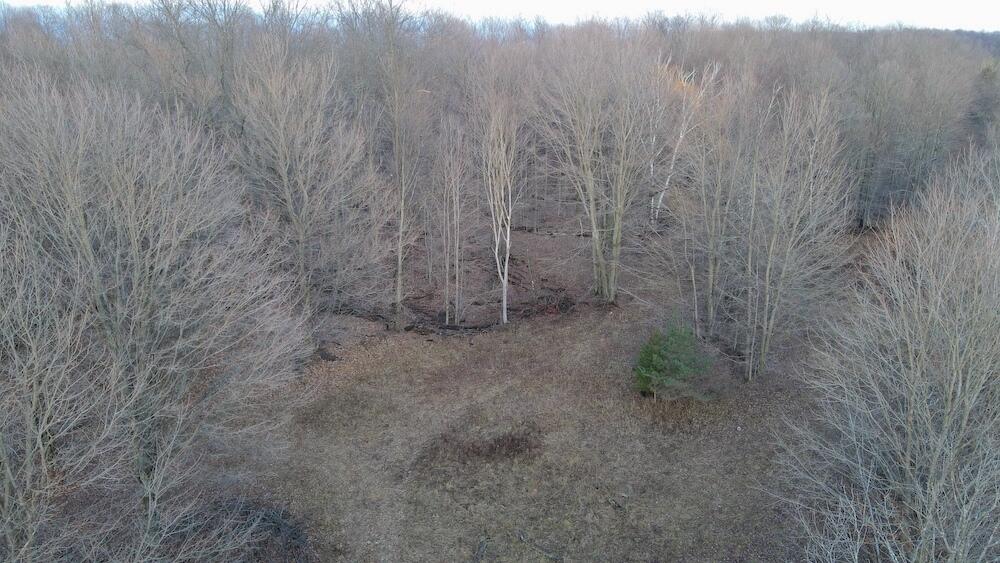 Potter Road Bear Lake, MI 49614 - Photo 4 of 37 DJI_0796