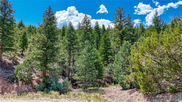 $159,000 | 655 Lower Camp Road, Salida, CO 81201