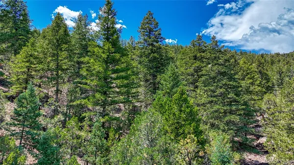 $159,000 | 655 Lower Camp Road, Salida, CO 81201