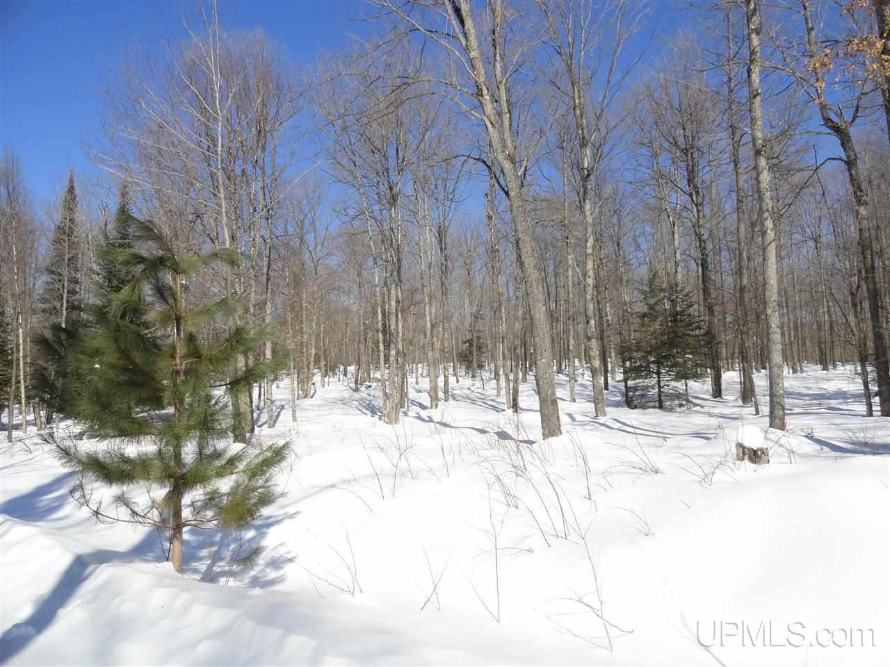 180-acres Lind Road Crystal Falls, MI 49920 - Photo 10 of 33 Gallery Image 10