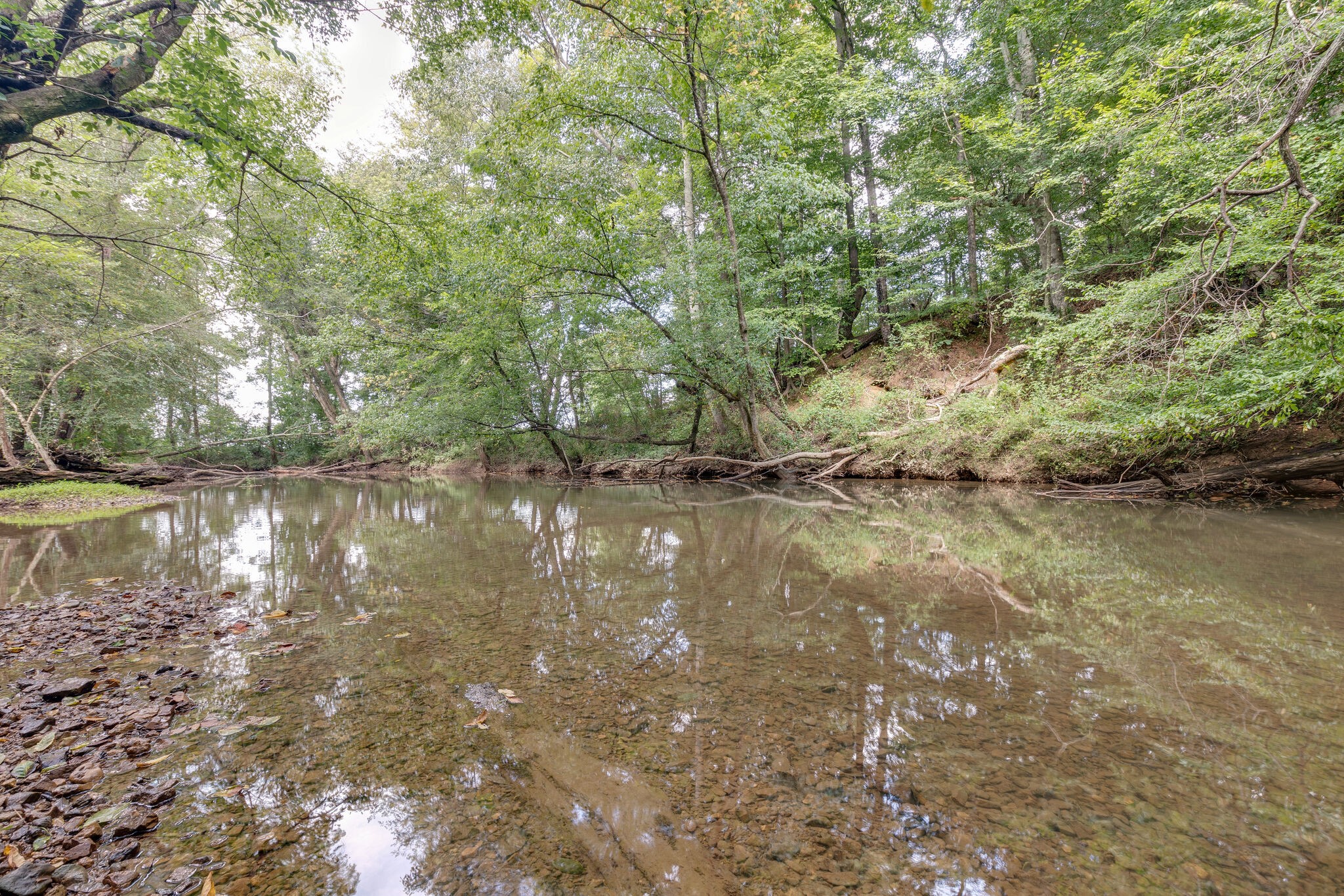 a view of lake with green space