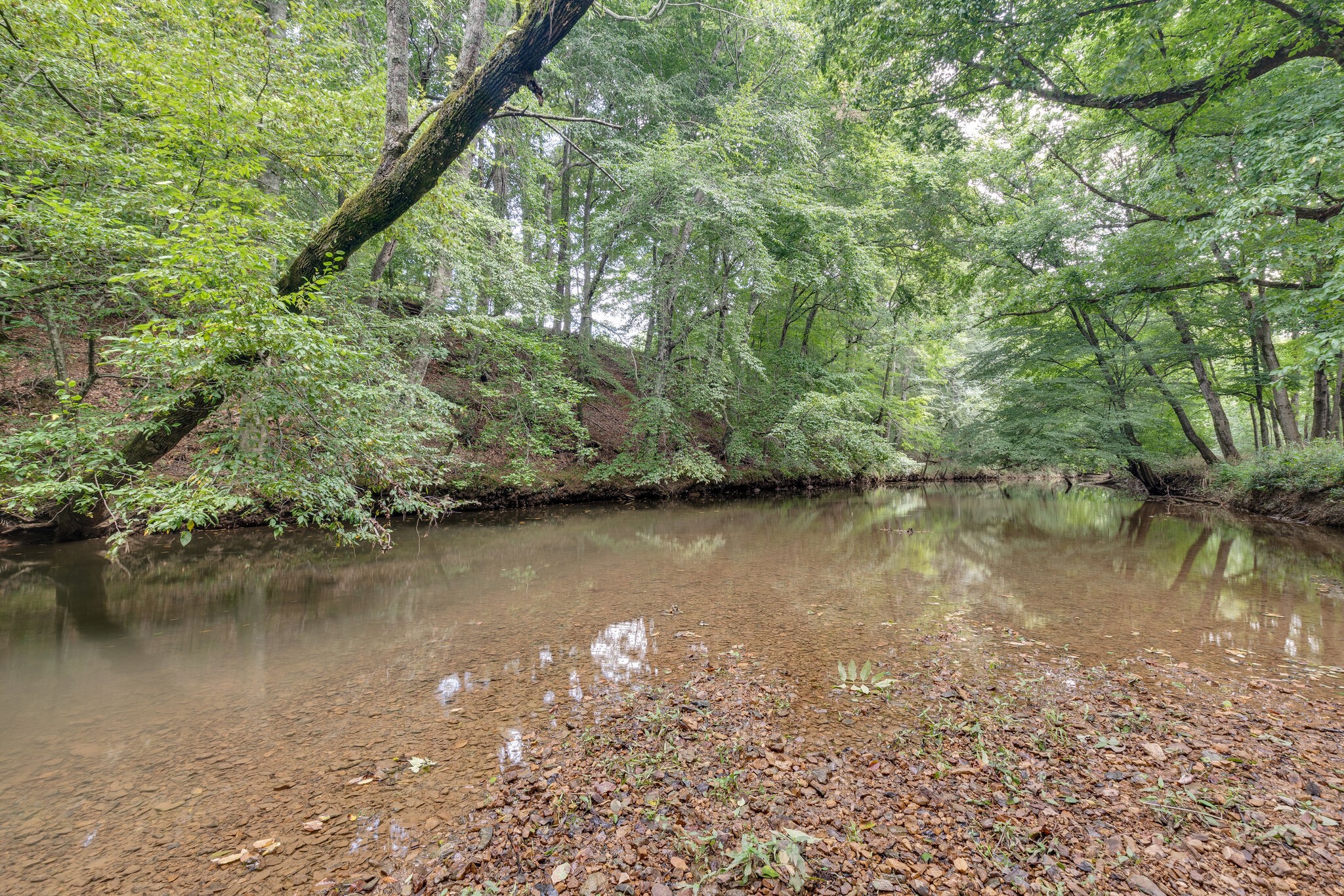 0 South George Road Flintville, TN 37335 - Photo 2 of 25
