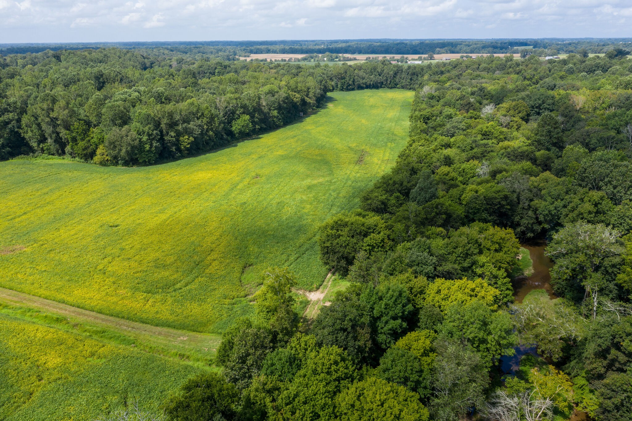 0 South George Road Flintville, TN 37335 - Photo 11 of 25 a view of a field with an ocean view