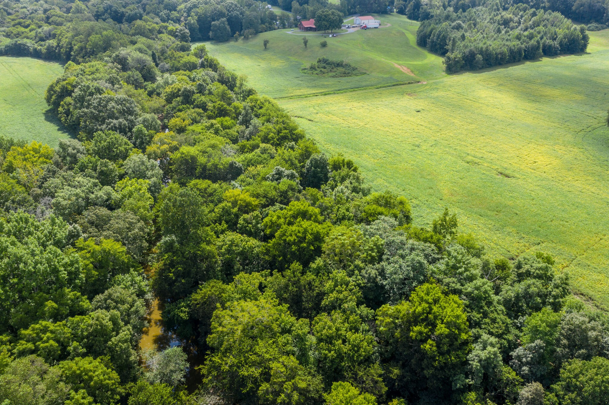 0 South George Road Flintville, TN 37335 - Photo 13 of 25 a view of a trees in a yard