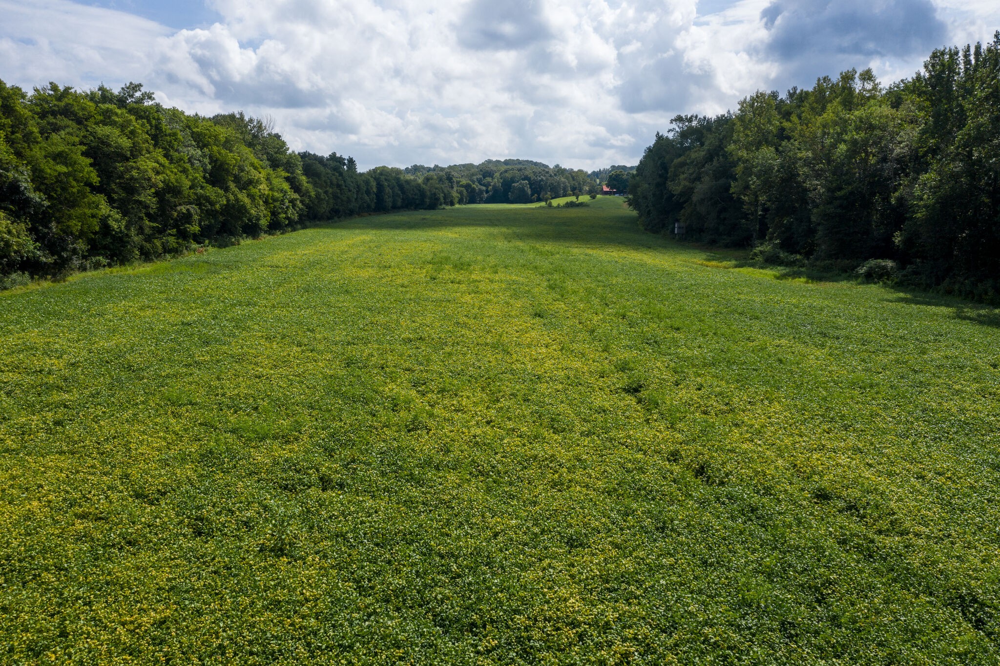 0 South George Road Flintville, TN 37335 - Photo 15 of 25 a view of a green field with wooden fence