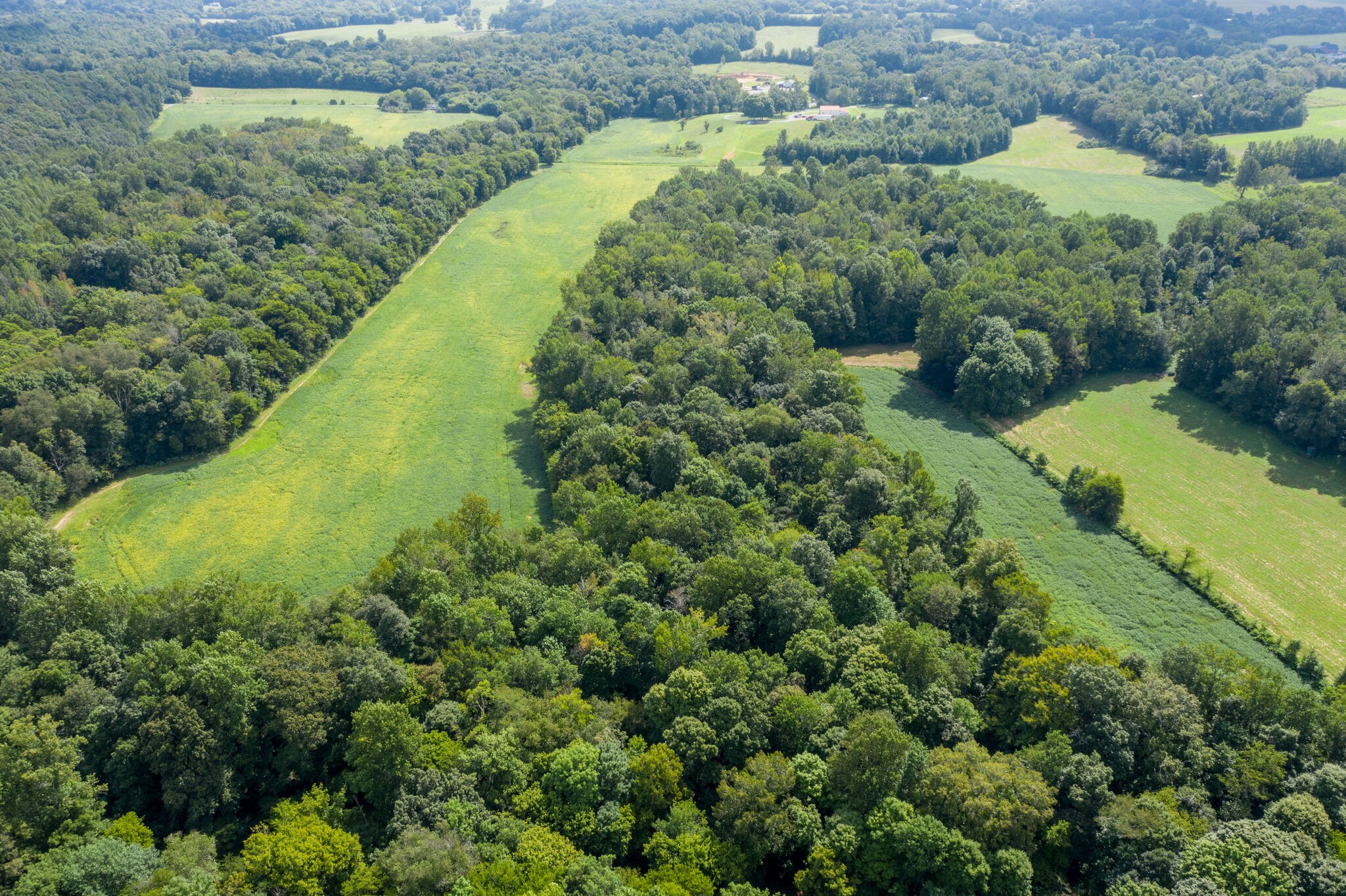 0 South George Road Flintville, TN 37335 - Photo 20 of 25 an aerial view of a house with a yard and large trees