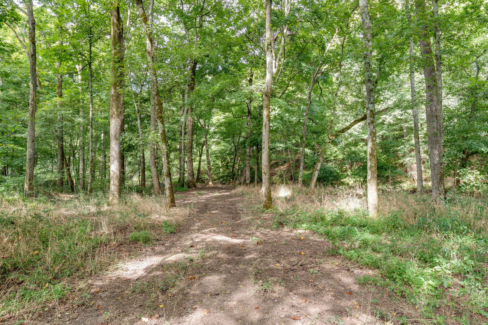 0 South George Road Flintville, TN 37335 - Photo 3 of 25 a view of outdoor space and trees
