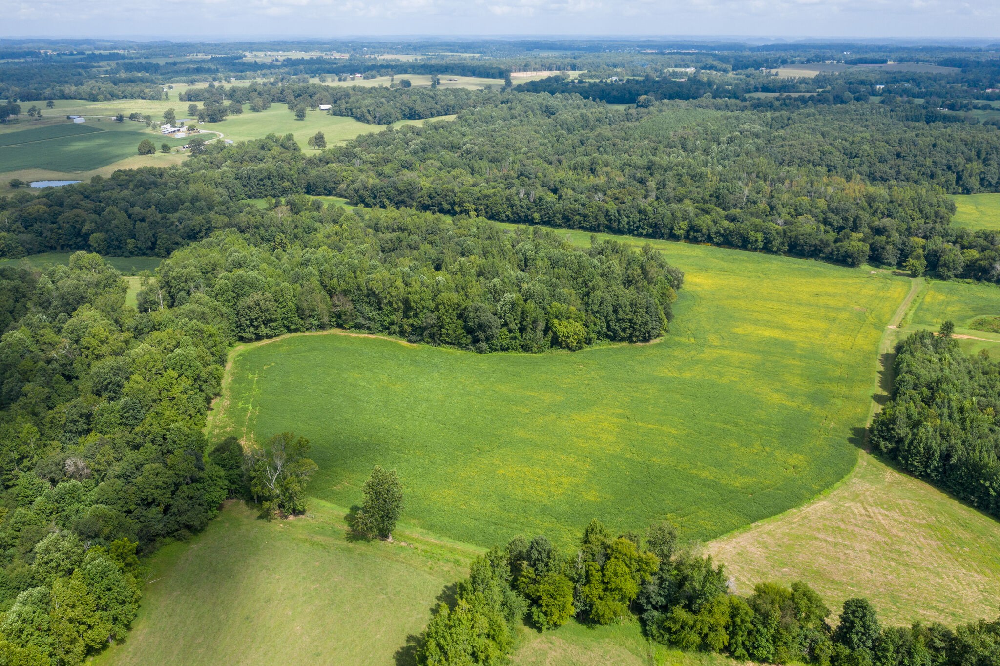 0 South George Road Flintville, TN 37335 - Photo 22 of 25 a view of a lush green hillside and a lake view