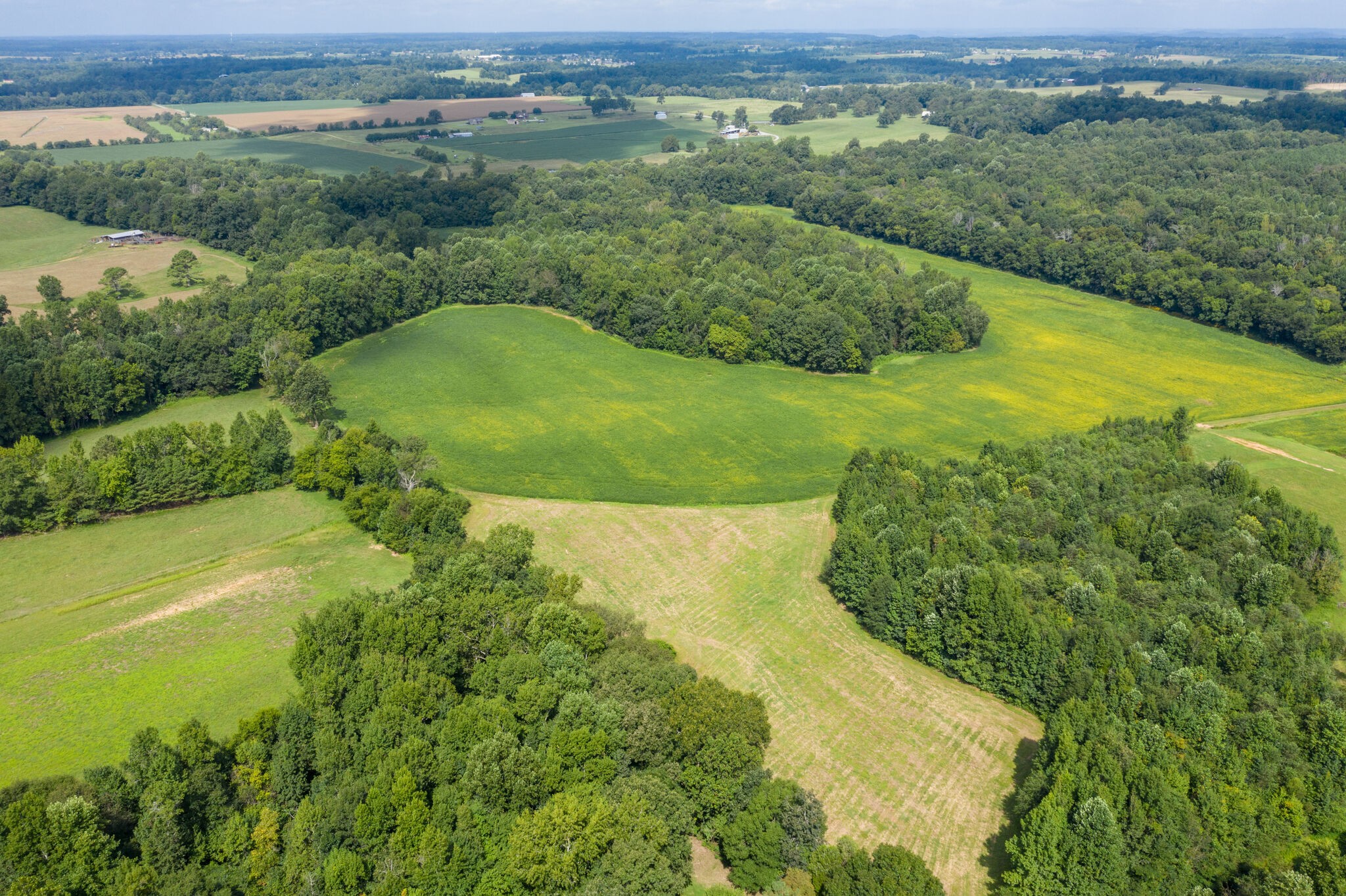 0 South George Road Flintville, TN 37335 - Photo 23 of 25 a view of a lush green hillside and lake view