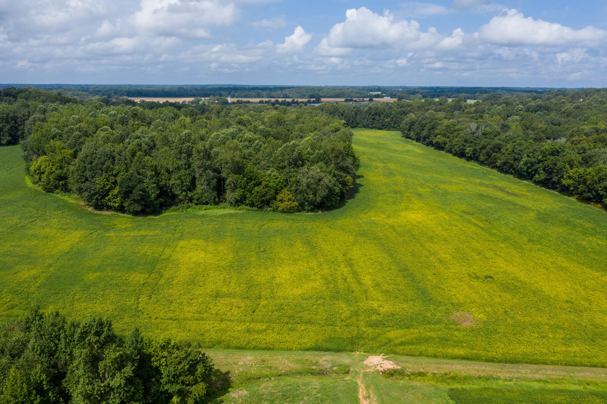 0 South George Road Flintville, TN 37335 - Photo 25 of 25 a view of an ocean from a yard