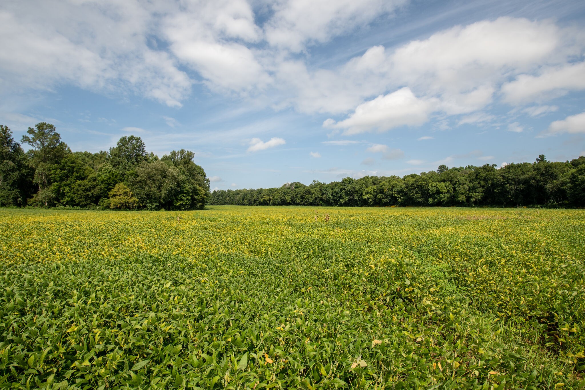 0 South George Road Flintville, TN 37335 - Photo 8 of 25 a view of a lake and mountain in the back