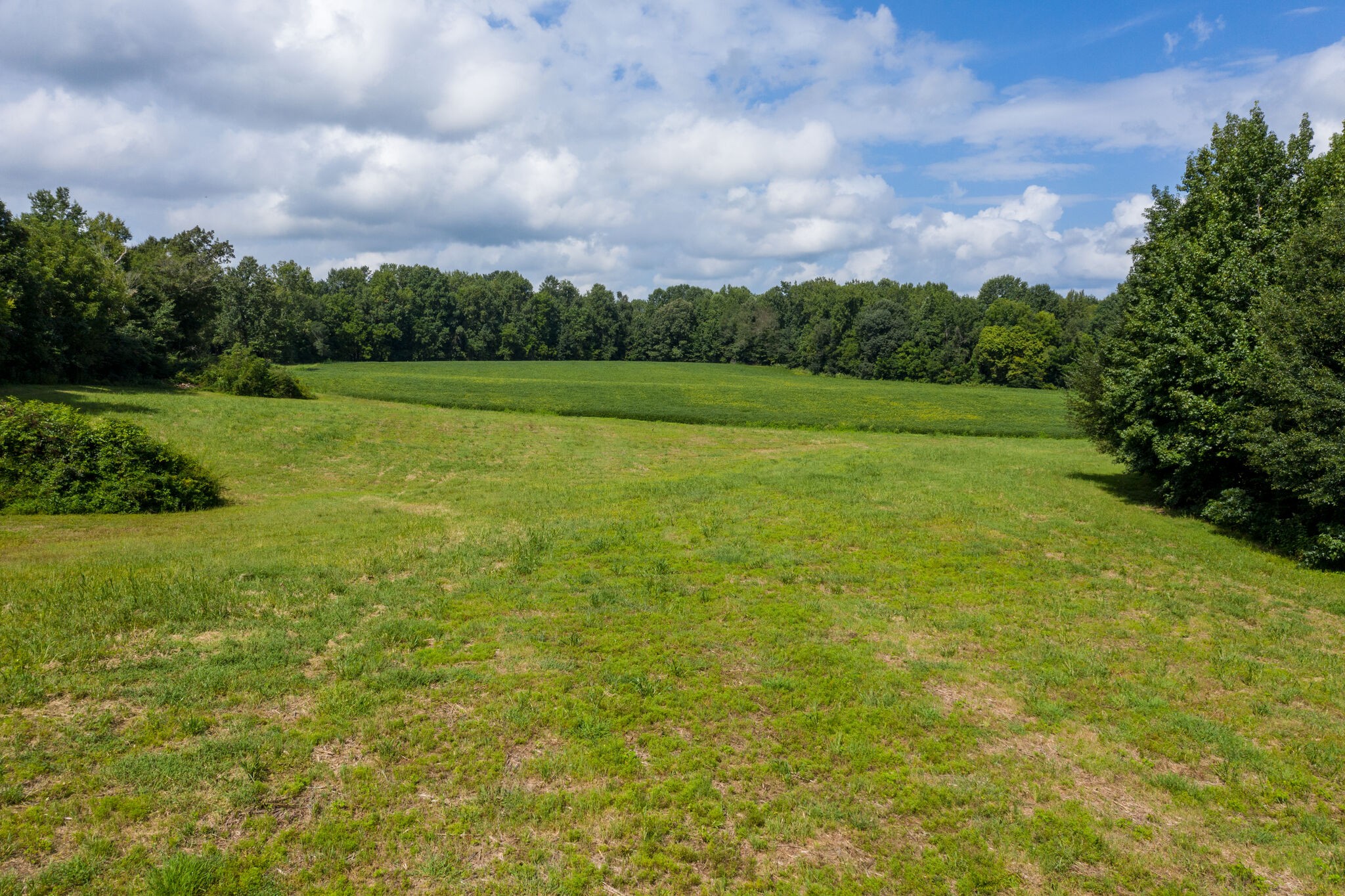 0 South George Road Flintville, TN 37335 - Photo 9 of 25 a view of a big yard with a large trees