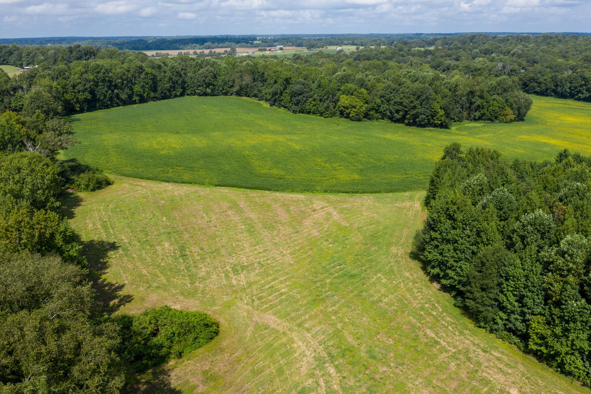 0 South George Road Flintville, TN 37335 - Photo 10 of 25 a view of a field with an ocean