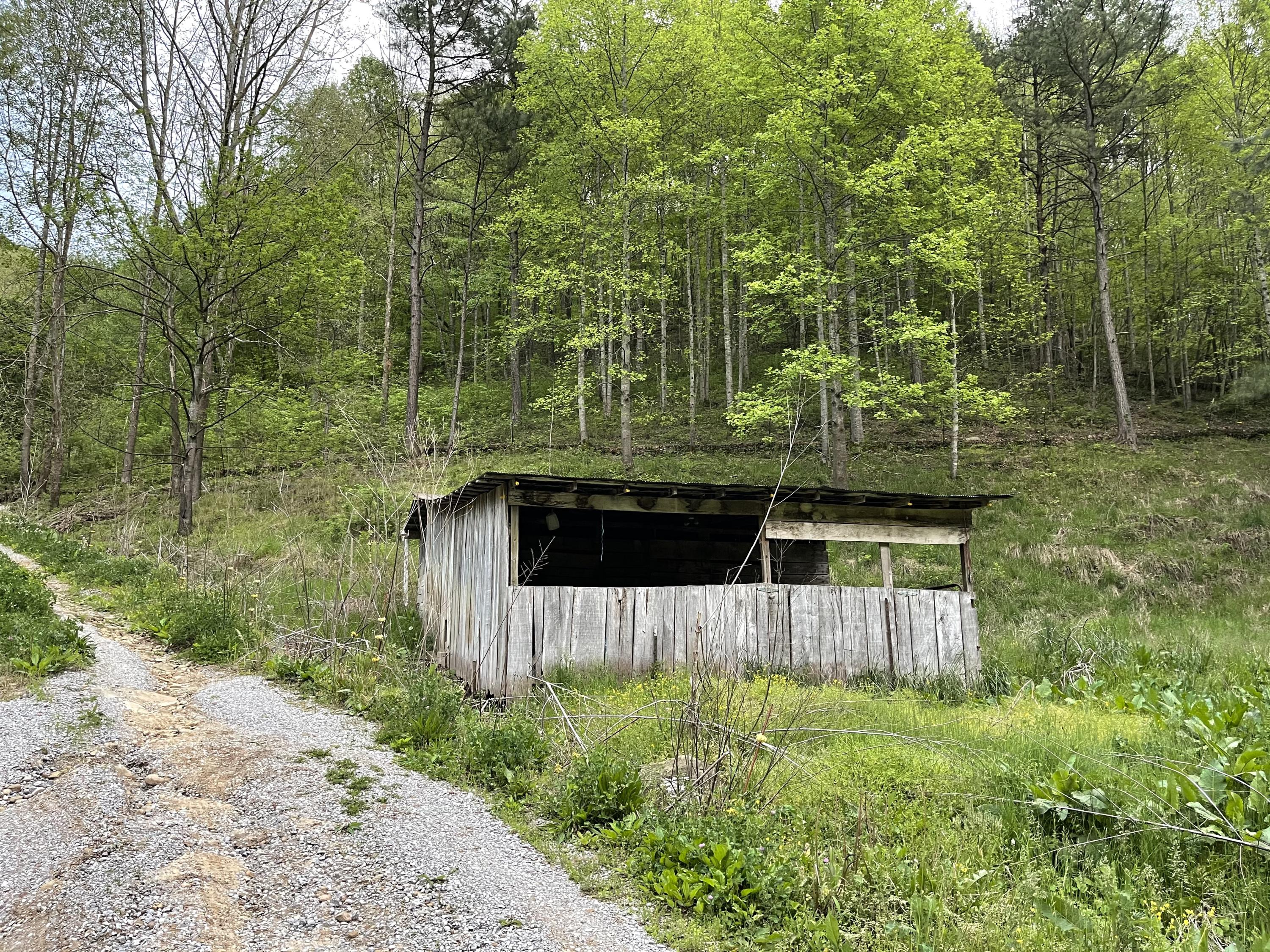 1032 Turkey Fork Road Scalf, KY 40982 - Photo 15 of 15 IMG_0459