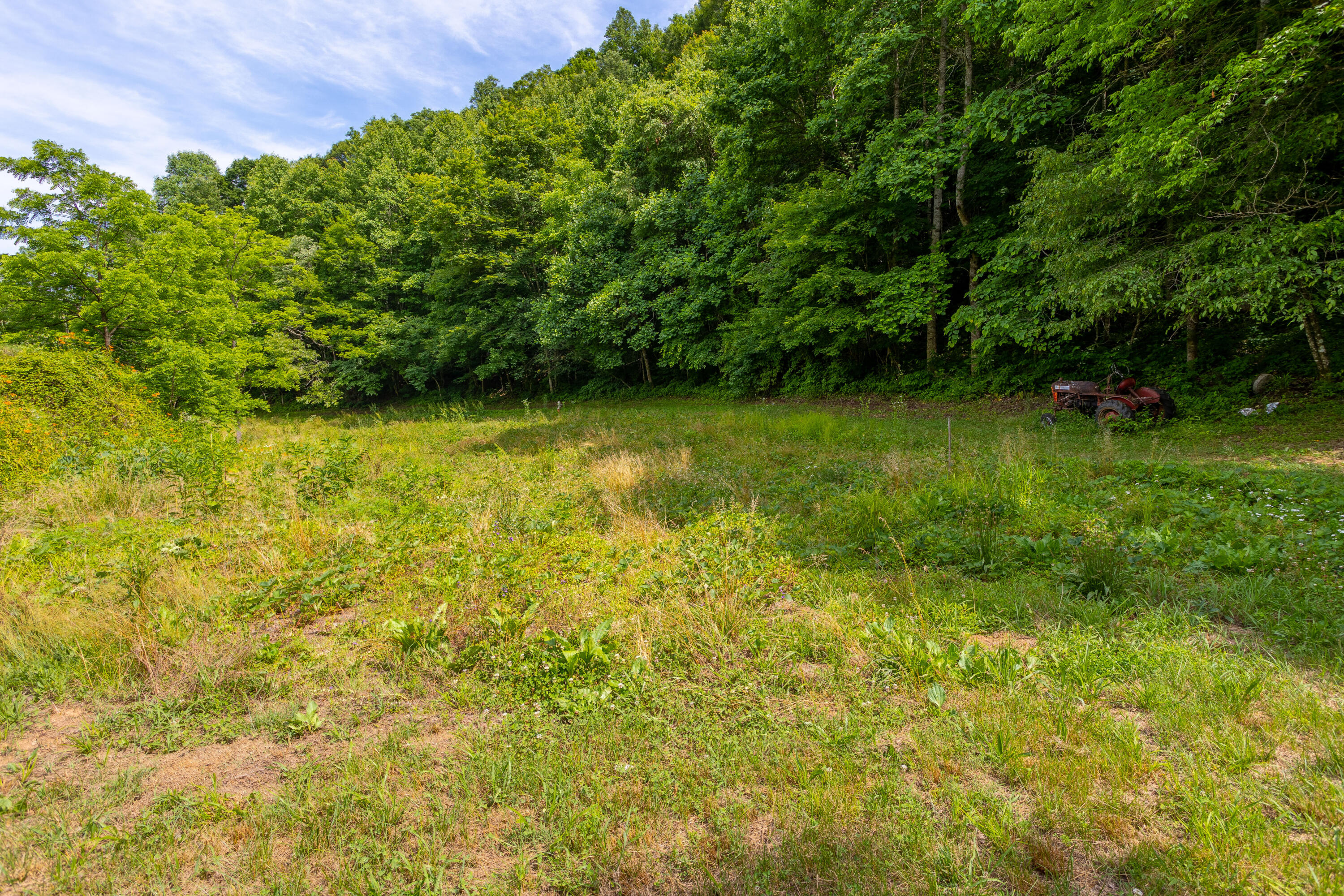 231 Marshall Road Kyles Ford, TN 37765 - Photo 50 of 73 231 Marshall Road