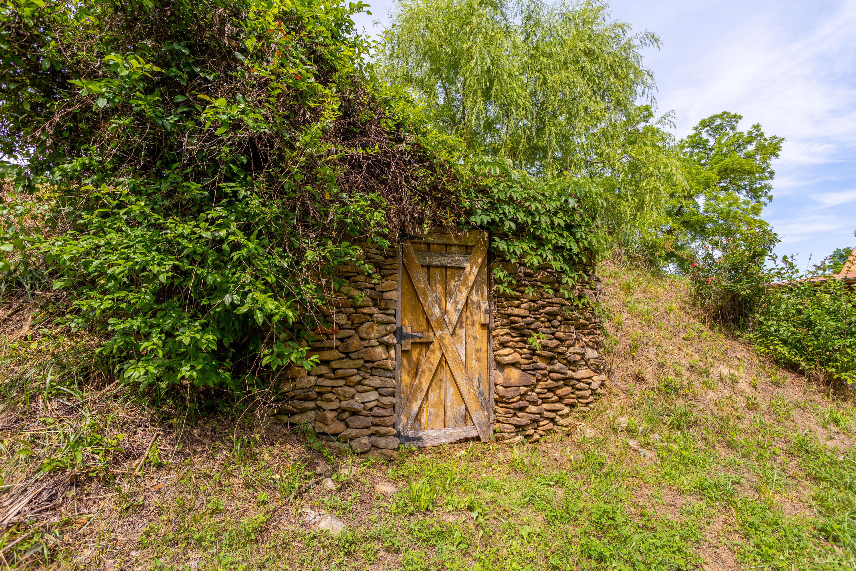 231 Marshall Road Kyles Ford, TN 37765 - Photo 51 of 73 231 Marshall Road