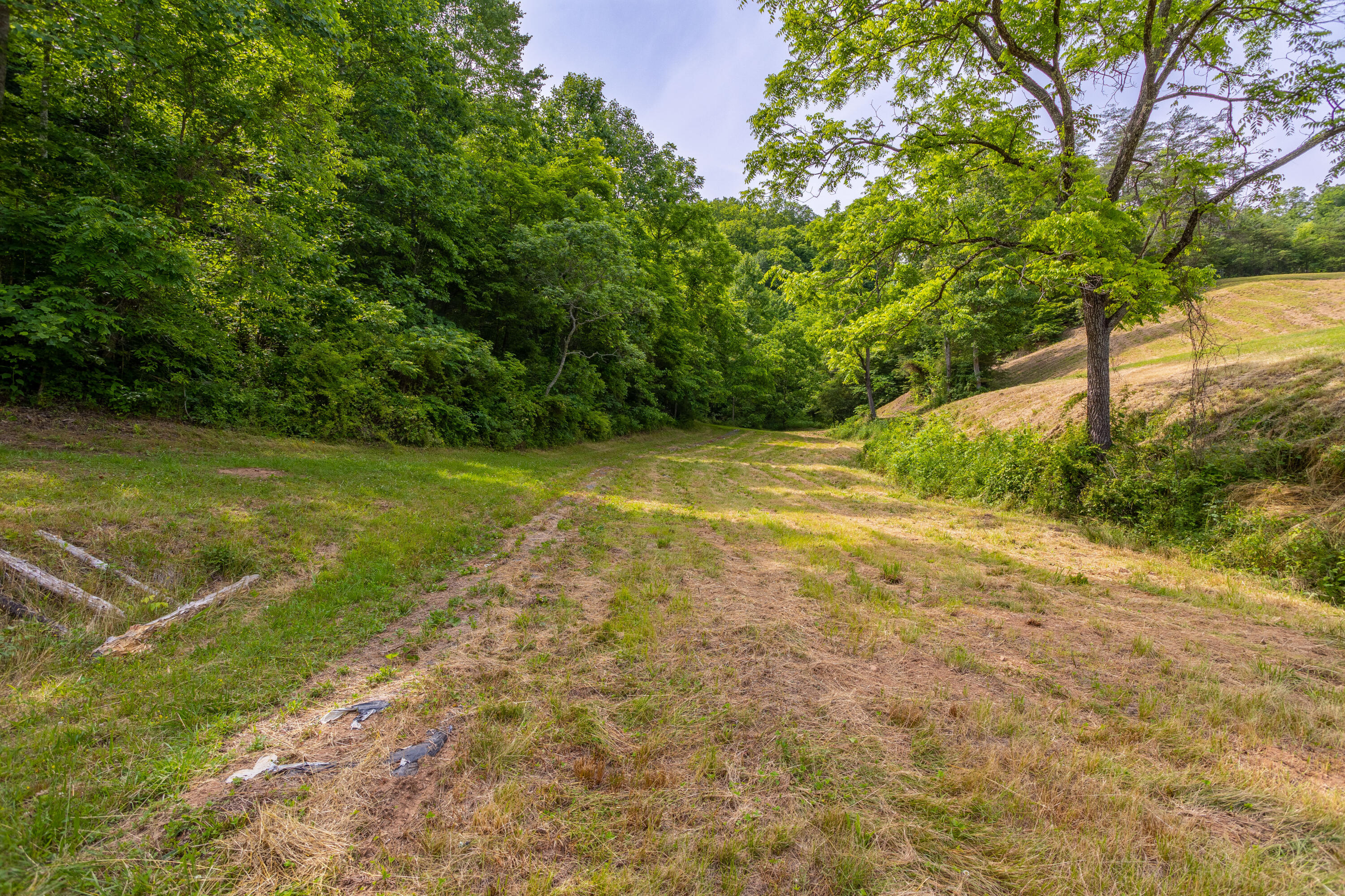 231 Marshall Road Kyles Ford, TN 37765 - Photo 52 of 73 231 Marshall Road