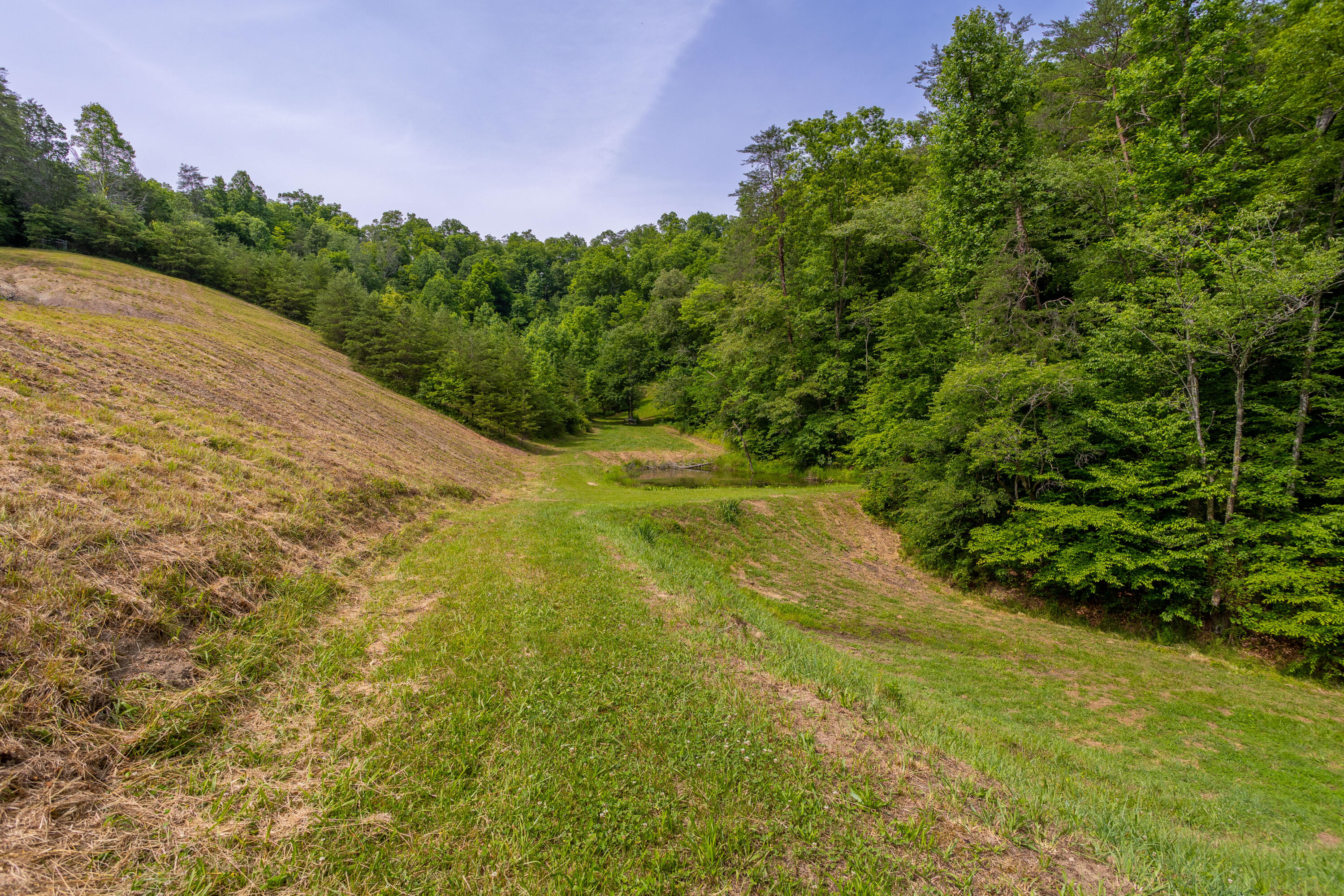 231 Marshall Road Kyles Ford, TN 37765 - Photo 53 of 73 231 Marshall Road
