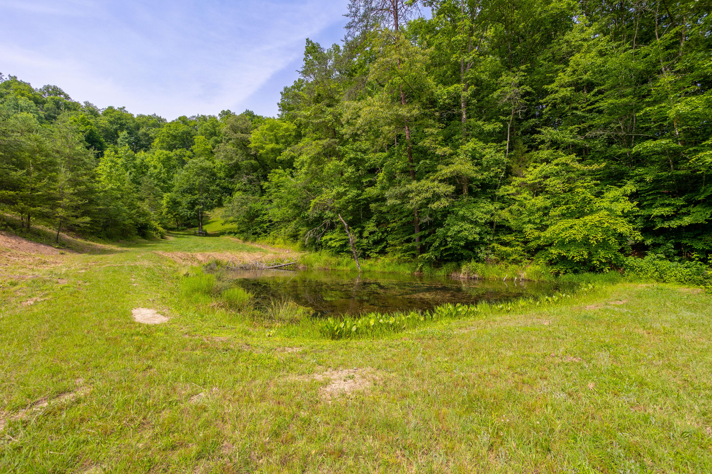 231 Marshall Road Kyles Ford, TN 37765 - Photo 55 of 73 231 Marshall Road