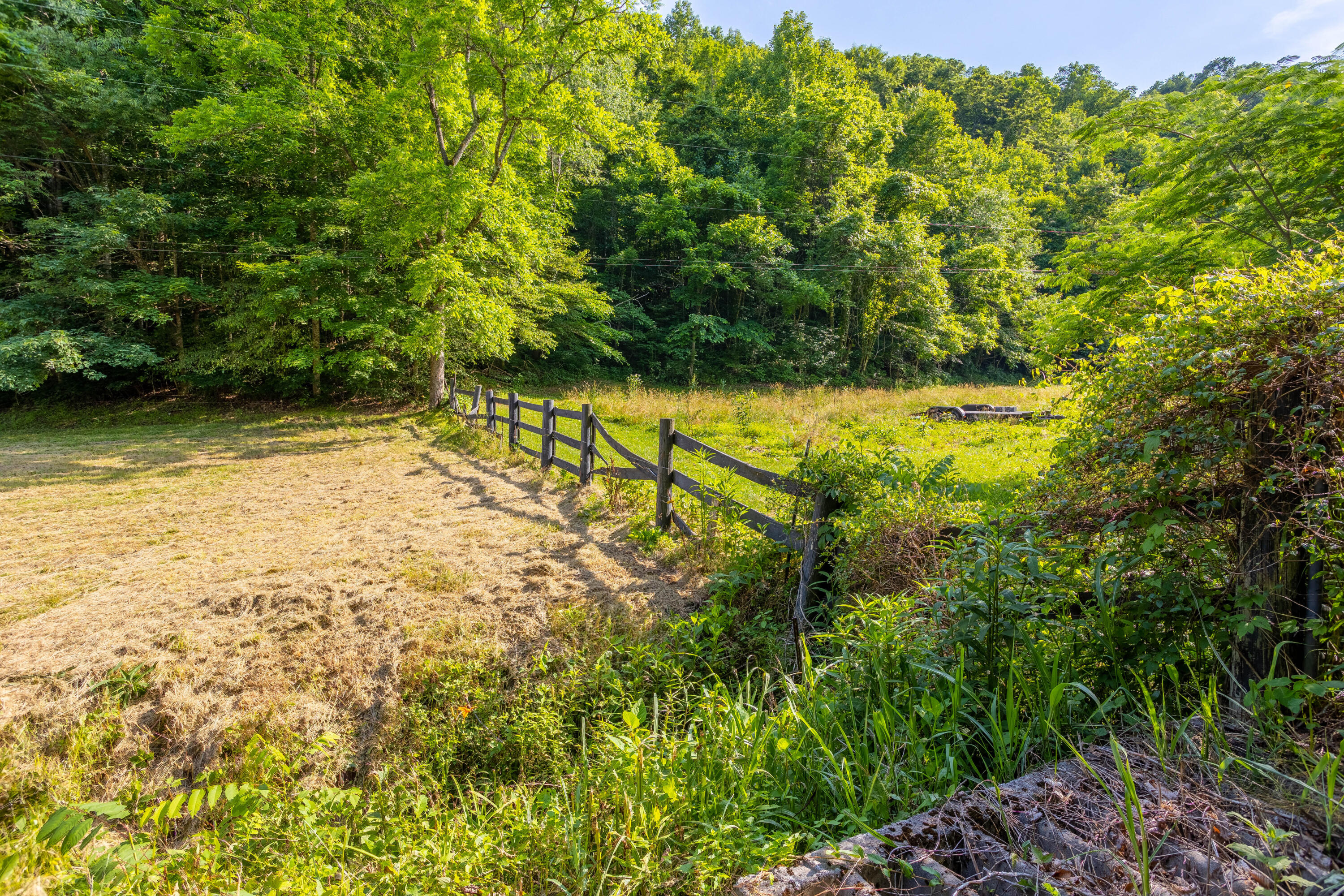231 Marshall Road Kyles Ford, TN 37765 - Photo 59 of 73 231 Marshall Road