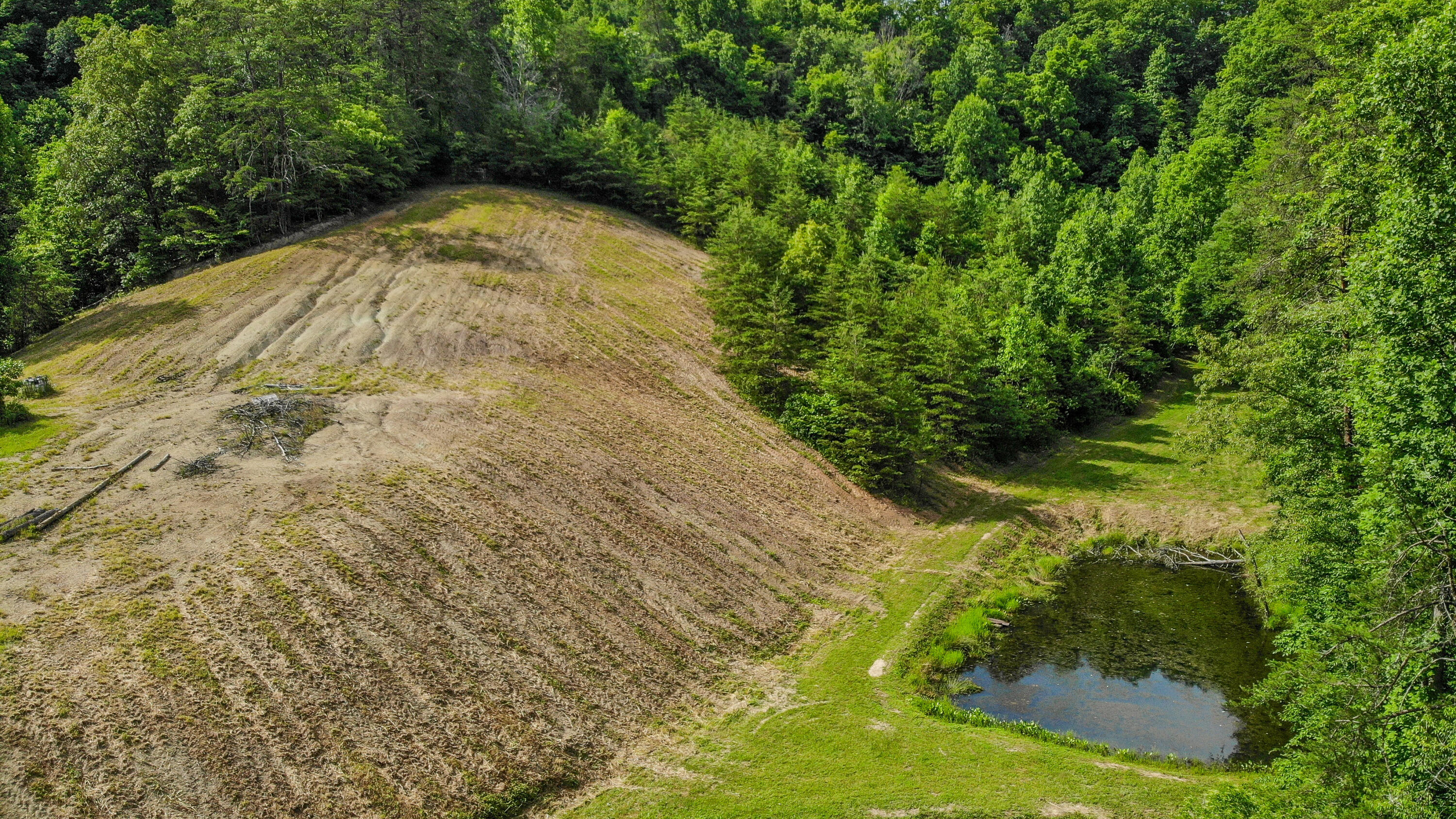 231 Marshall Road Kyles Ford, TN 37765 - Photo 69 of 73 231 Marshall Road
