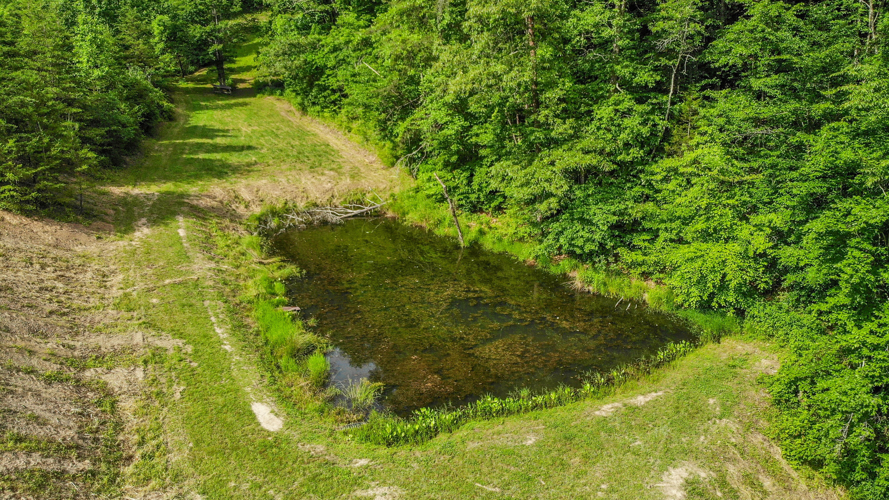 231 Marshall Road Kyles Ford, TN 37765 - Photo 71 of 73 139-Marshalls-Road-Kyles-Ford-TN-75