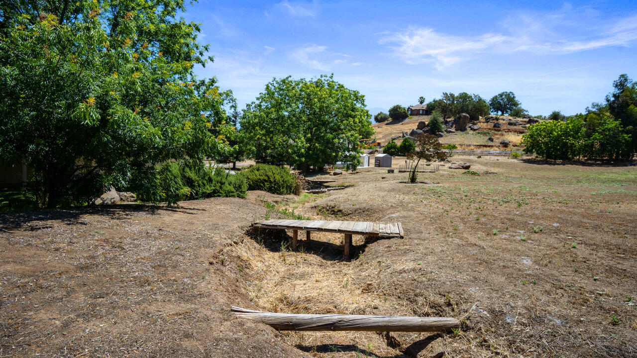 16657 Thomas Drive Springville, CA 93265 - Photo 34 of 37 a view of a backyard with plants and trees