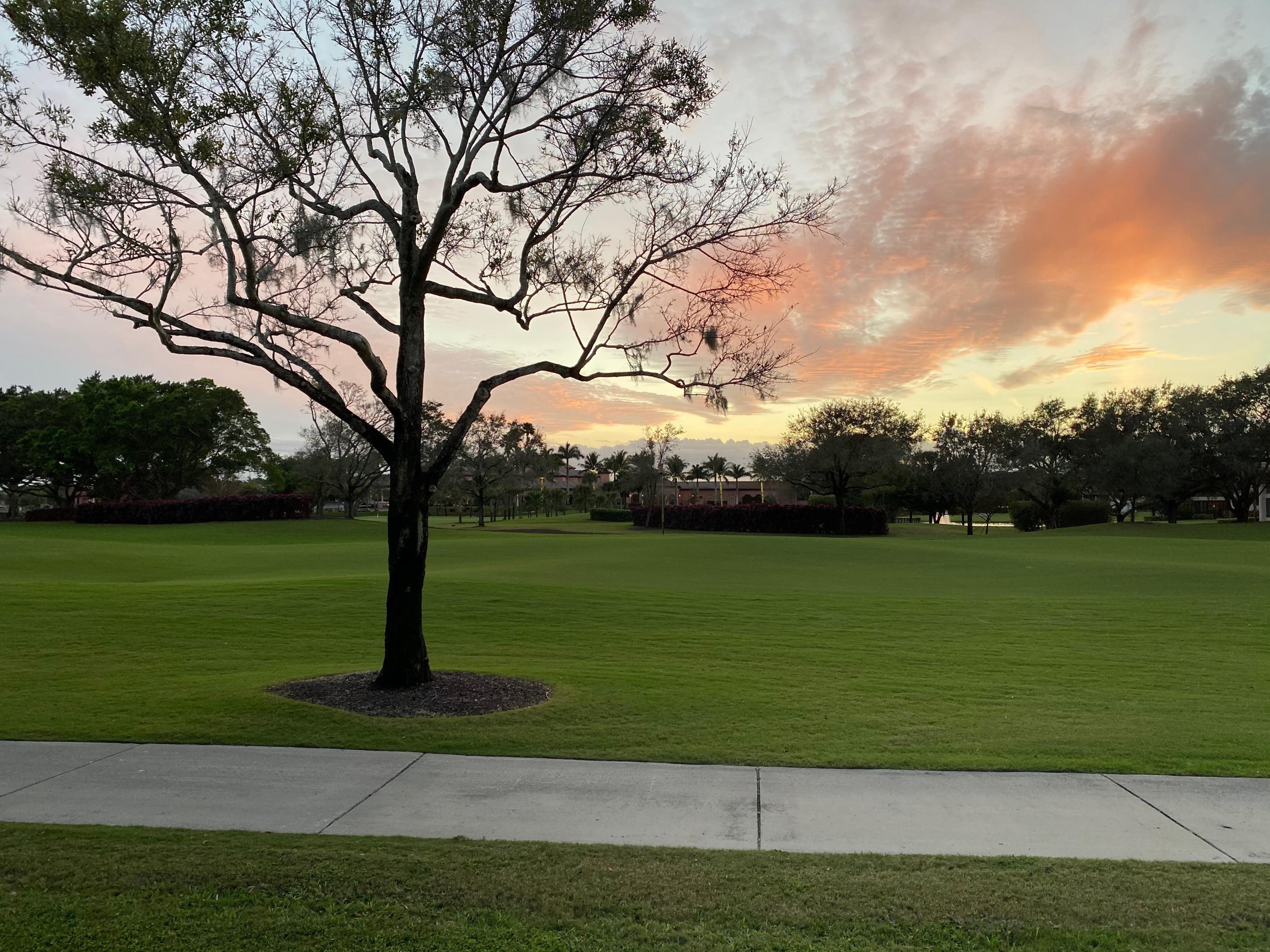 5723 Northwest 24th Terrace Boca Raton, FL 33496 - Photo 43 of 43 A2FBAE01-7520-4AFC-8DB2-493D05C38CD0