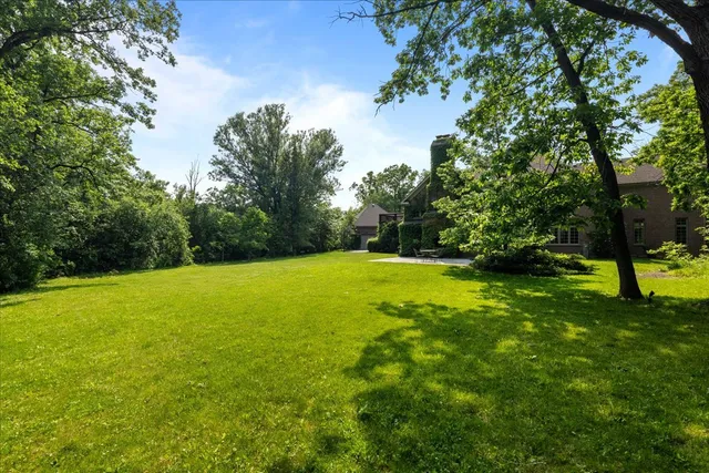 a view of a field with large trees