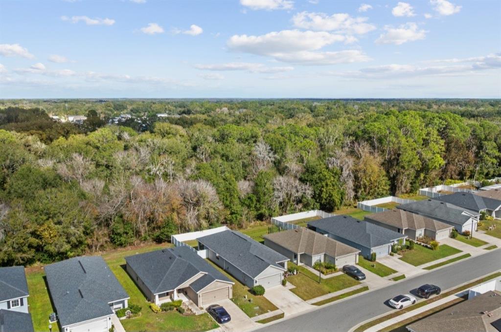 979 Pearly Ridge Lane Lakeland, FL 33809 - Photo 27 of 29 Gallery Image 27