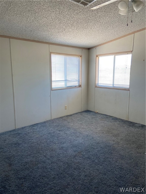 740 South Elfrida Road Golden Valley, AZ 86413 - Photo 36 of 47 an empty room with windows