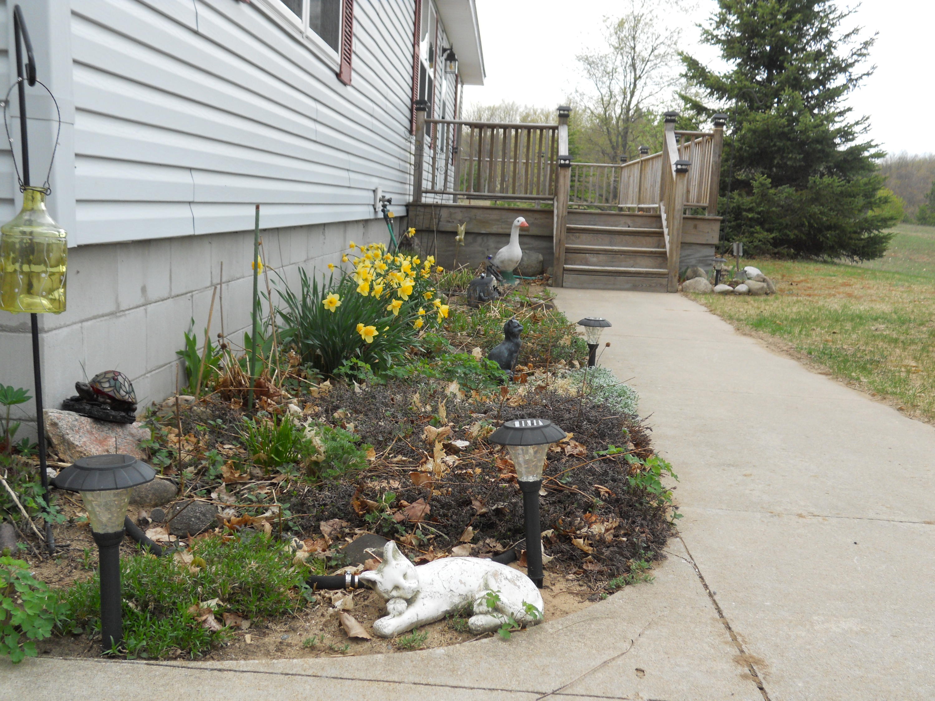 1550 Patterson Road Elmira, MI 49730 - Photo 25 of 35 Gallery Image 25