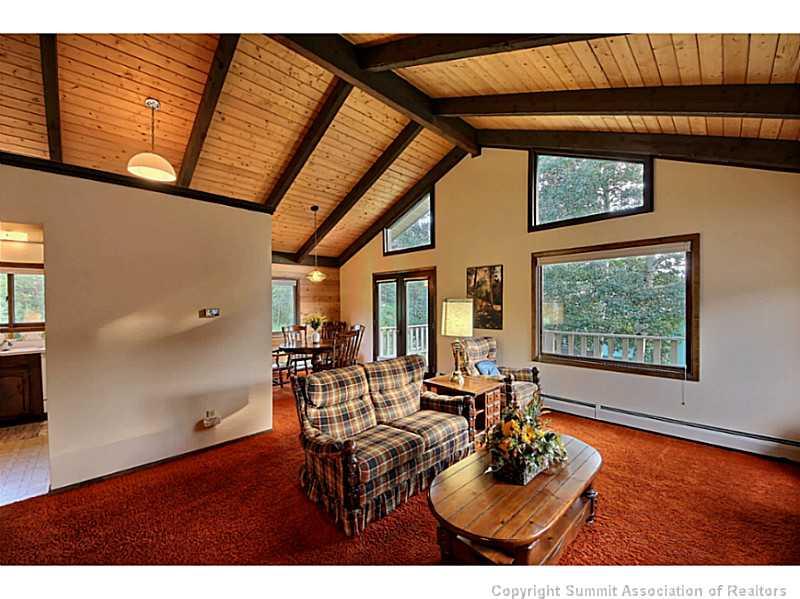 698 Deer Path Road Dillon, CO 80435 - Photo 8 of 25 a living room with furniture a window and wooden floor