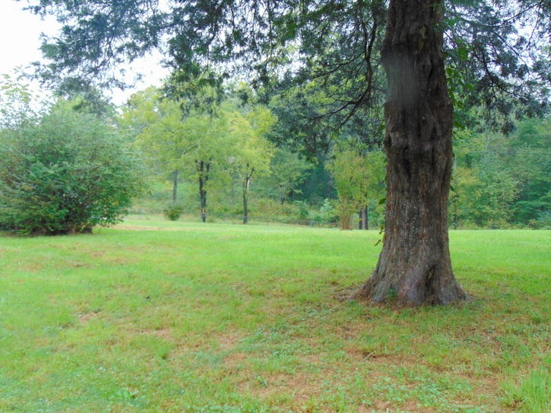 985 Rome Road Lancing, TN 37770 - Photo 3 of 11 a view of outdoor space with a garden