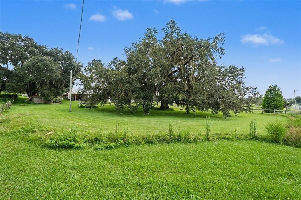 36653 Blanton Road Dade City, FL 33523 - Photo 27 of 31 Gallery Image 27