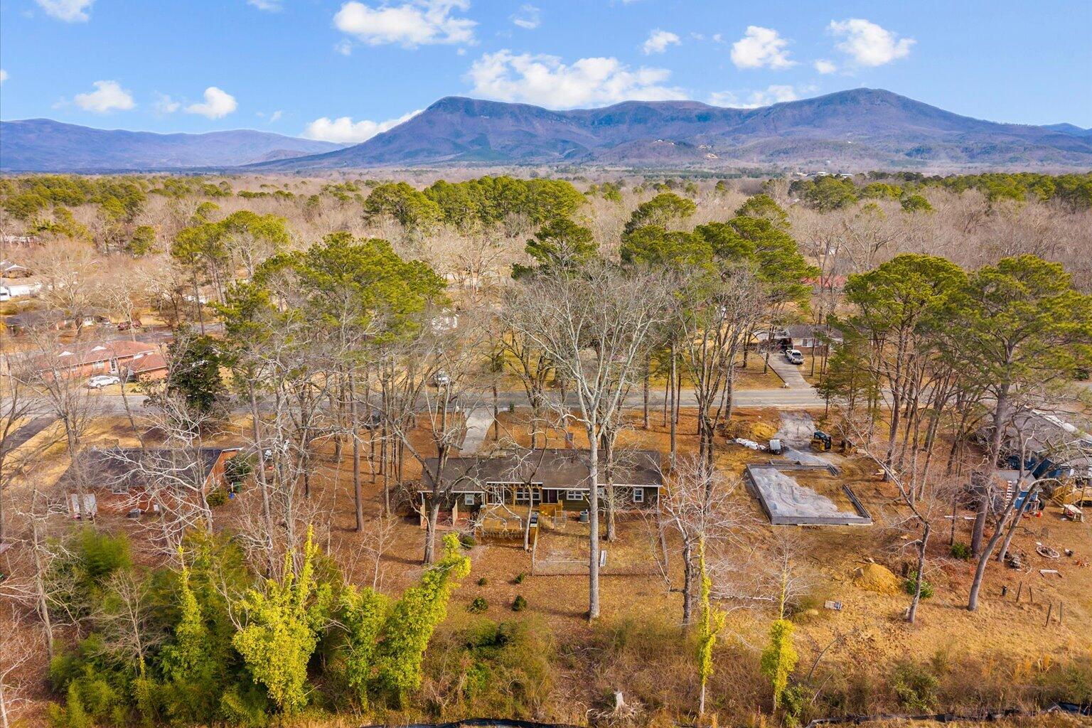 305 Charles Road Chatsworth, GA 30705 - Photo 2 of 53 02-DJI_20260208134354_0863_D