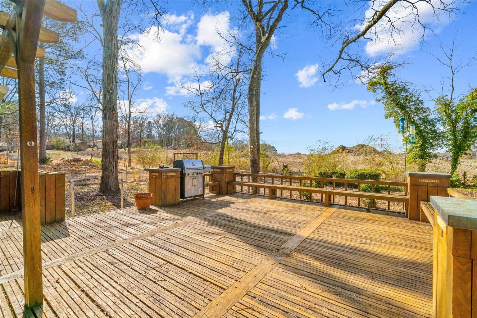 305 Charles Road Chatsworth, GA 30705 - Photo 40 of 53 40-DSC00686