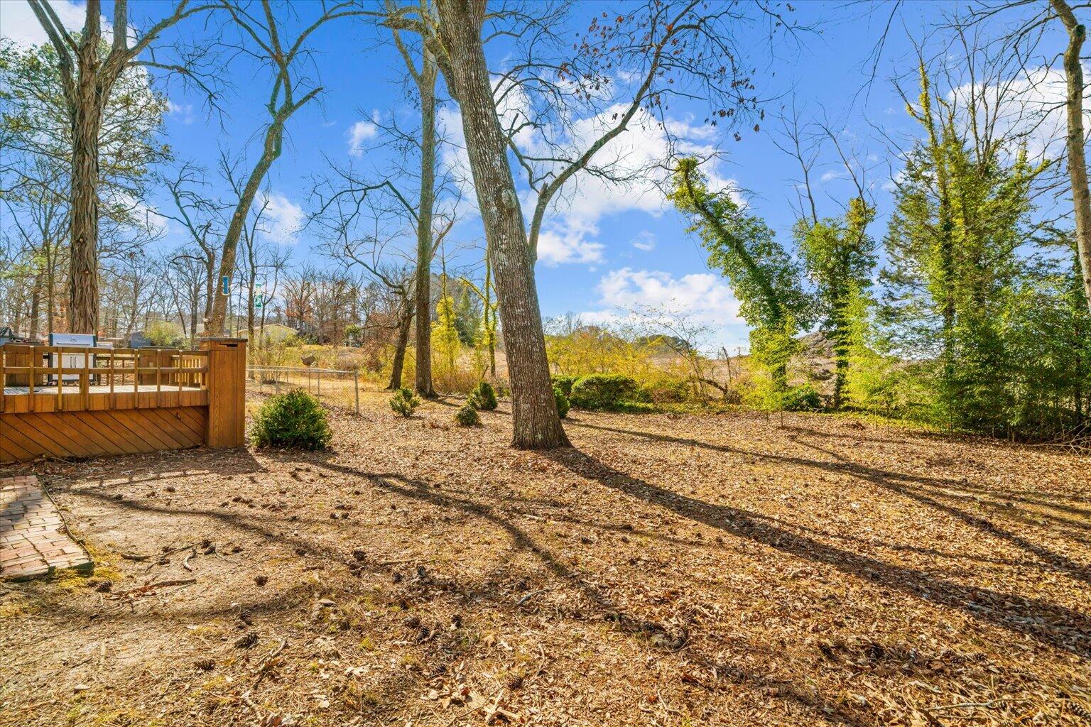 305 Charles Road Chatsworth, GA 30705 - Photo 43 of 53 43-DSC00661