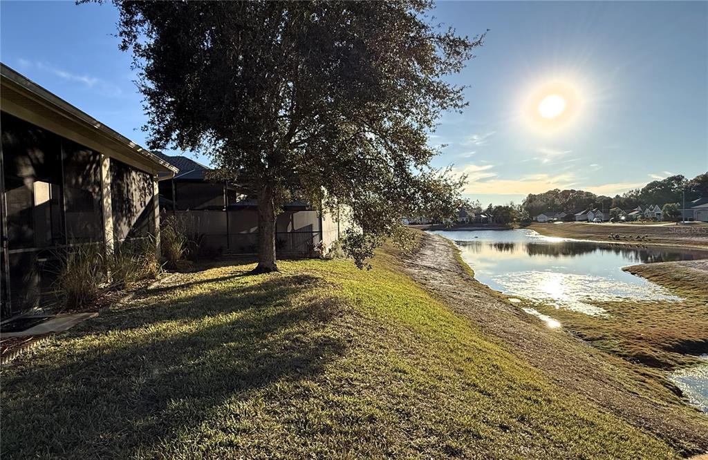 10127 Tria Drive Weeki Wachee, FL 34613 - Photo 25 of 33 a view of a house with a yard and sitting area