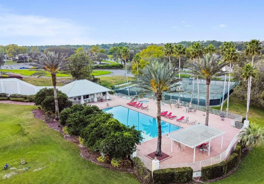 10127 Tria Drive Weeki Wachee, FL 34613 - Photo 30 of 33 a view of a swimming pool with a garden and mountain view