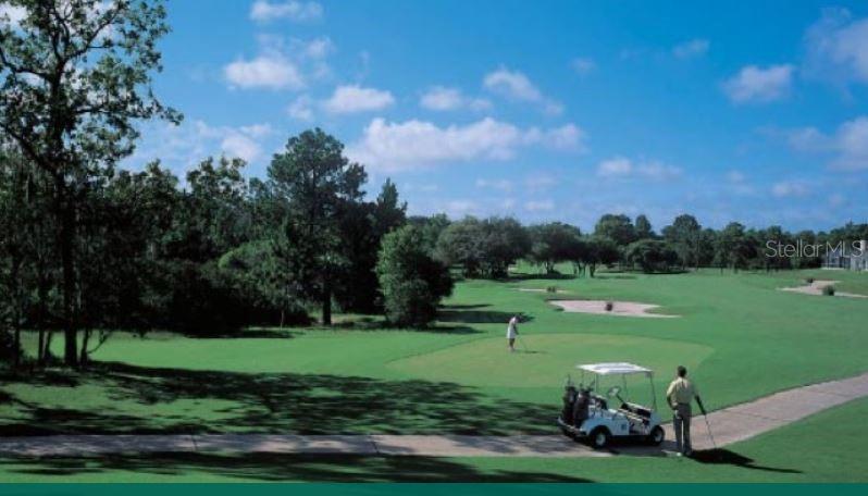 10127 Tria Drive Weeki Wachee, FL 34613 - Photo 33 of 33 a view of a golf course