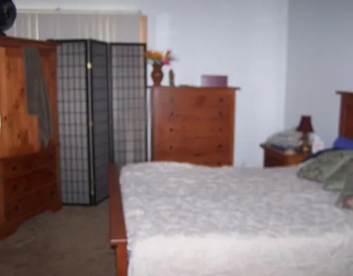 a bedroom with a bed and a dresser