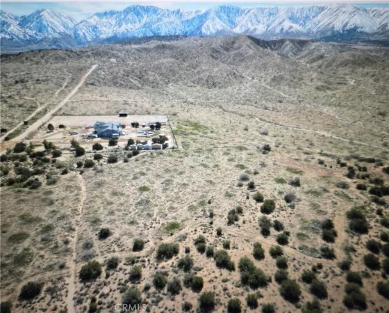 a view of a dry yard