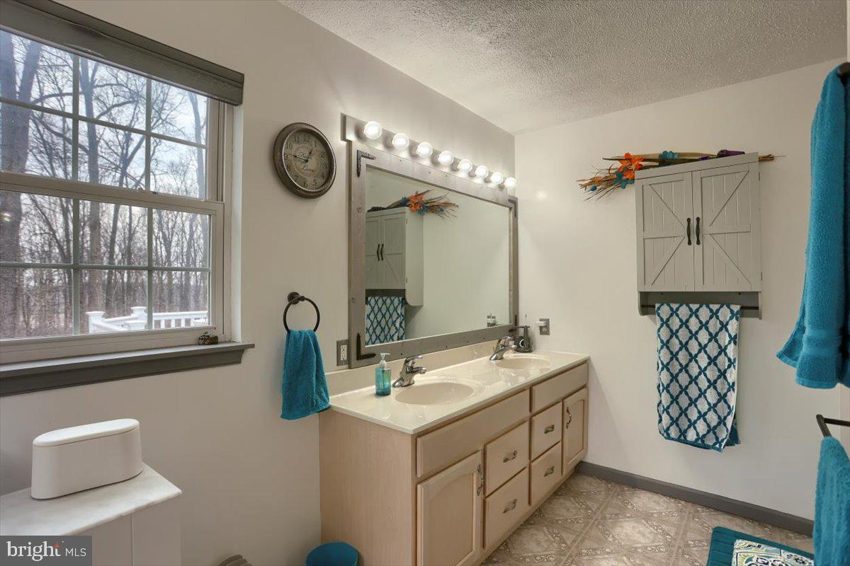 7666 Hickory Road Stewartstown, PA 17363 - Photo 19 of 57 Vanity main bathroom