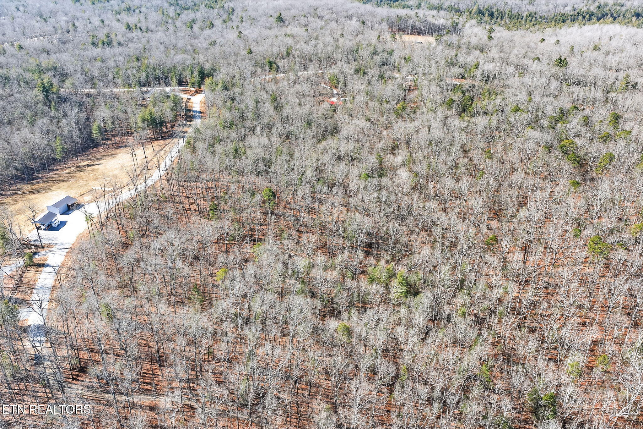 0 Proctor Place Road Road Jamestown, TN 38556 - Photo 11 of 16 11-web-or-mls-Procter Place Rd_052_TNPC