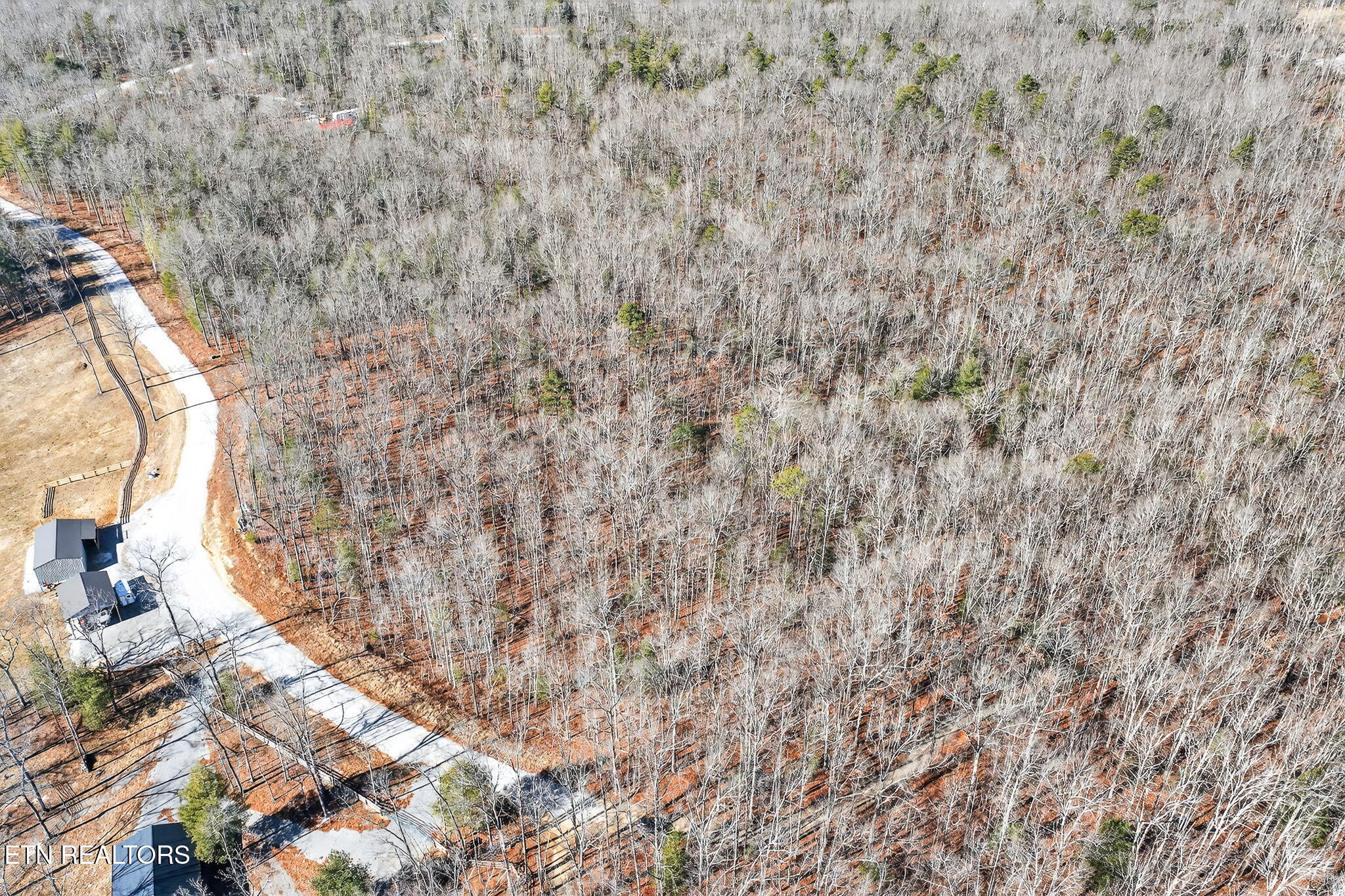 0 Proctor Place Road Road Jamestown, TN 38556 - Photo 12 of 16 12-web-or-mls-Procter Place Rd_058_TNPC